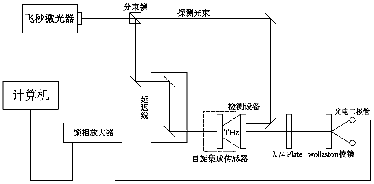 Spin biosensor and terahertz time domain spectroscopy system