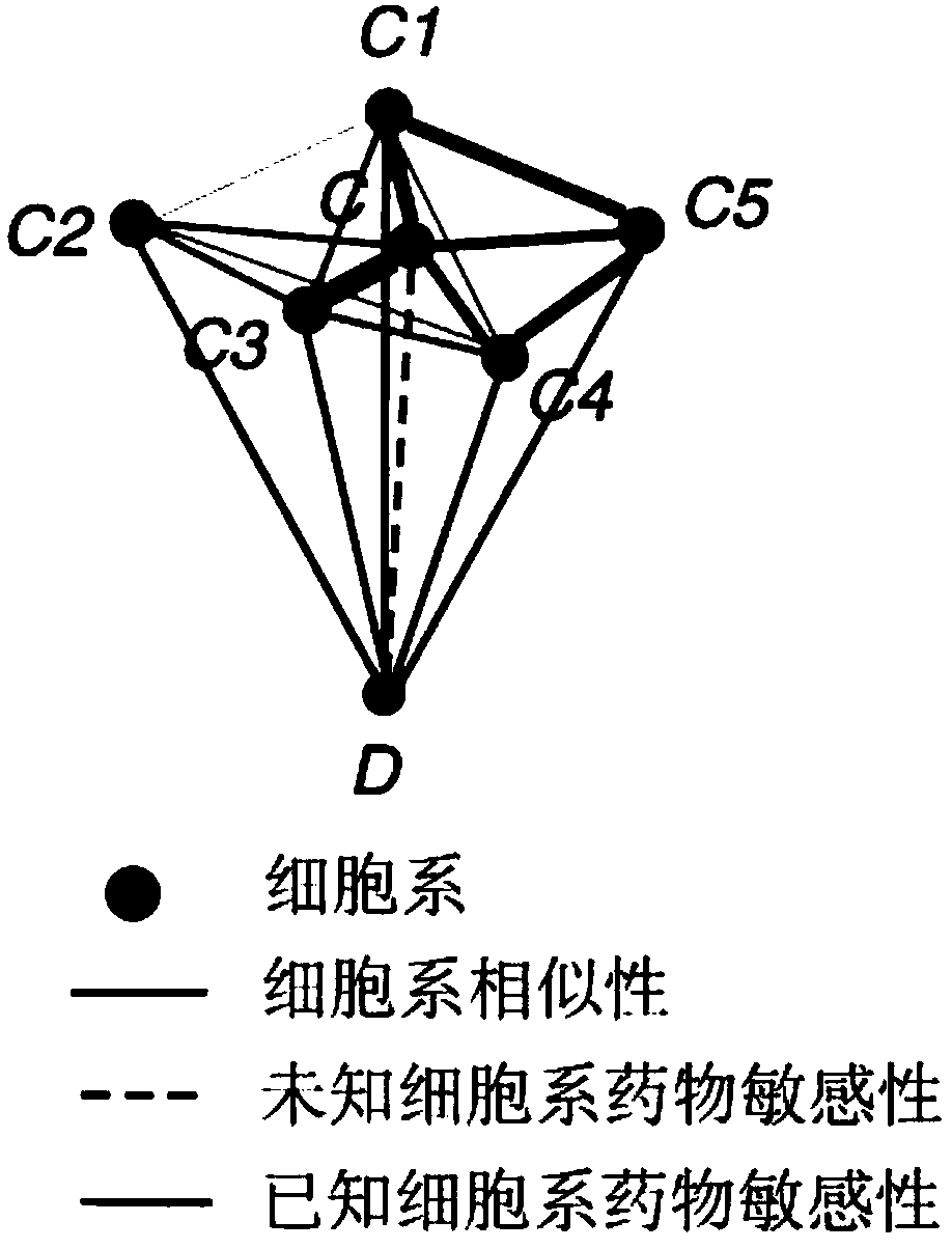 Drug sensitivity prediction method for cancer precision treatment