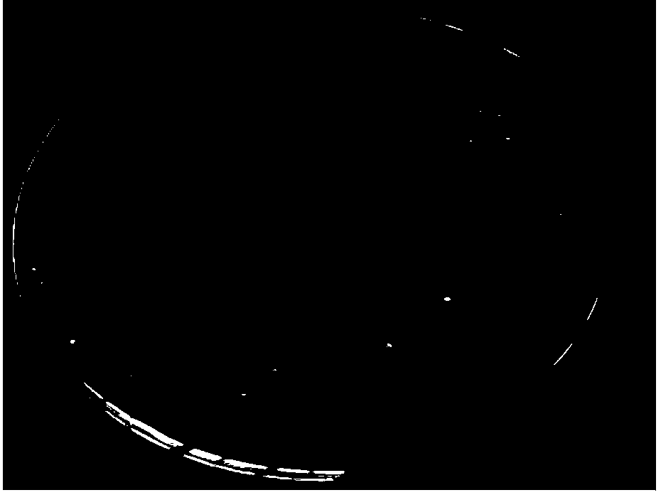 Clostridium beijerinckii for hydrogen generation via fermentation as well as fermentation method and application of clostridium beijerinckii