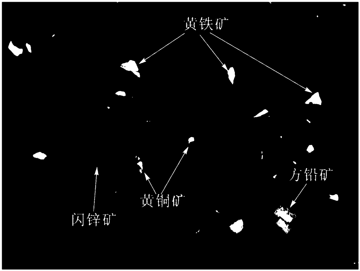 Automatic recognition method for optical microscopic images of metal sulfide minerals