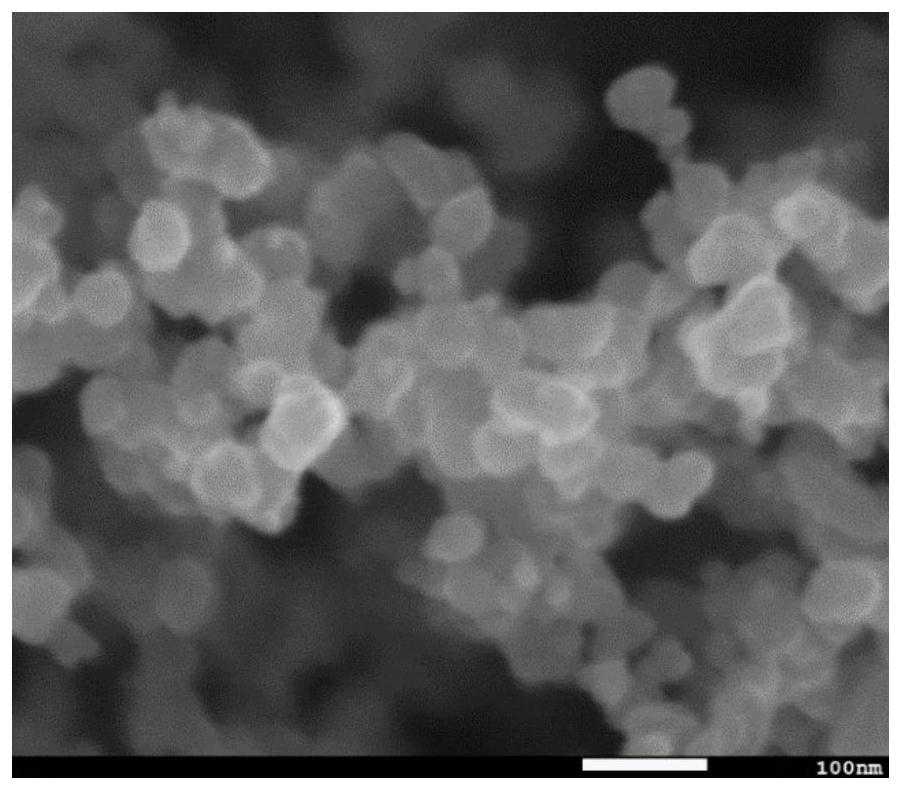 Electrode catalyst, composite electrode and preparation process of electrode catalyst