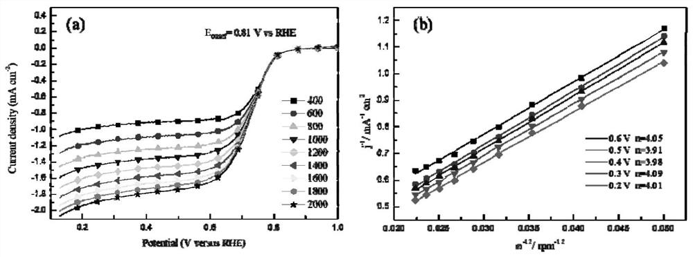 Electrode catalyst, composite electrode and preparation process of electrode catalyst