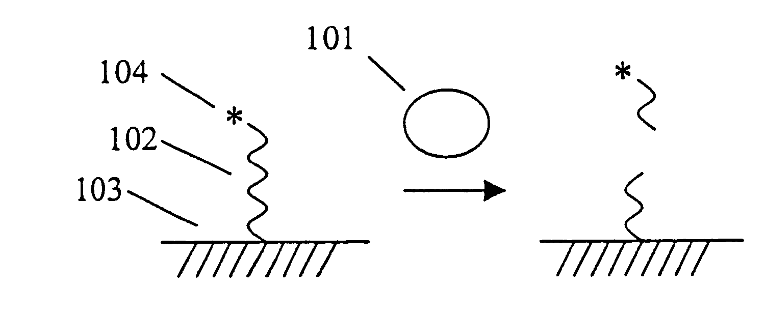 Assays for measuring nucleic acid binding proteins and enzyme activities