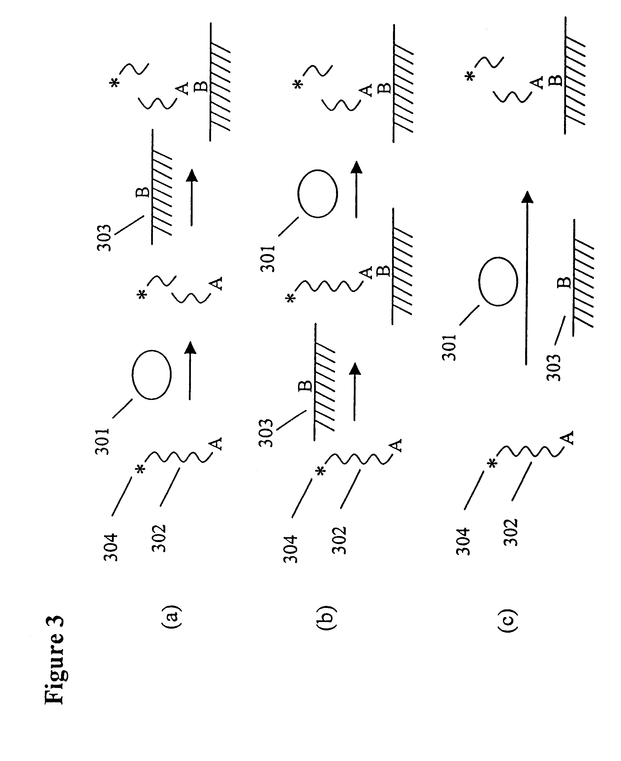 Assays for measuring nucleic acid binding proteins and enzyme activities