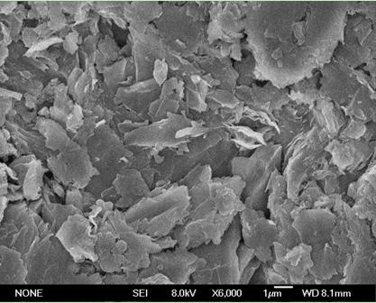 A kind of preparation method of porous carbon bioelectrode