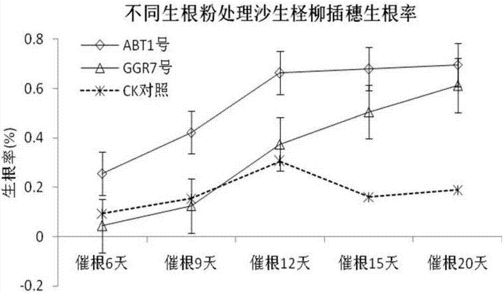 Quick root accelerating method for Tamarix taklamakanensis M. T. Liu cutting slips