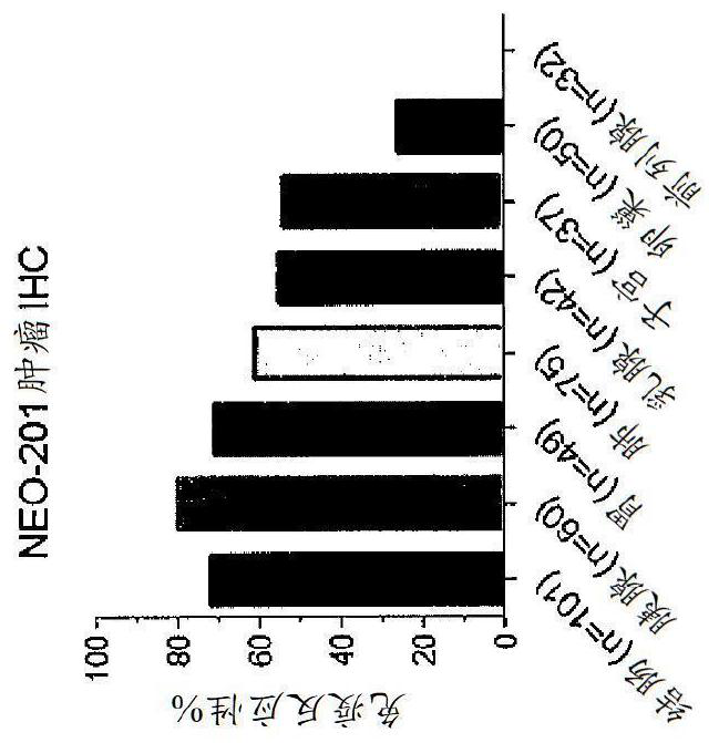 Monoclonal antibody neo-201 for the treatment of human carcinomas