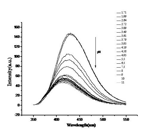 New molecule of PH fluorescent probe