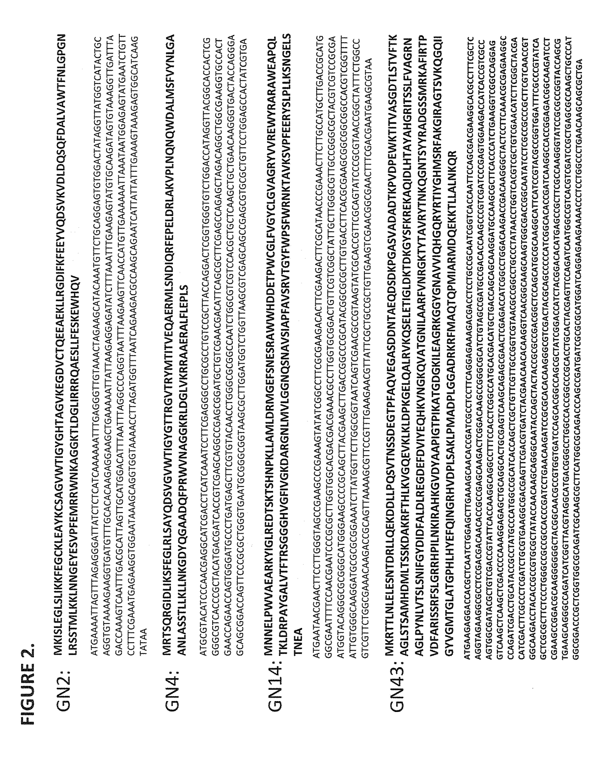 Lysin polypeptides active against gram-negative bacteria