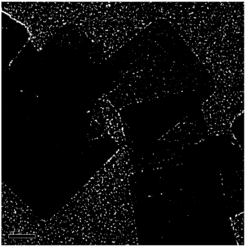 Preparation and Application of Titanium Dioxide Nanosheets Loaded Mil-100(fe) Composite Photocatalytic Material