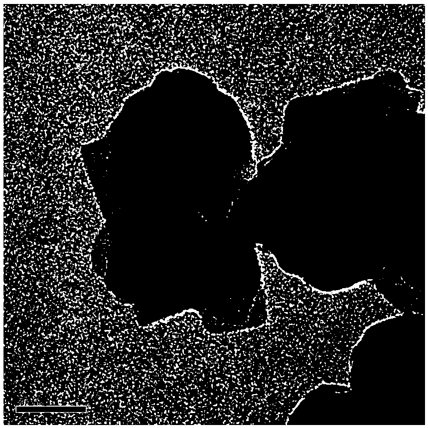 Preparation and Application of Titanium Dioxide Nanosheets Loaded Mil-100(fe) Composite Photocatalytic Material