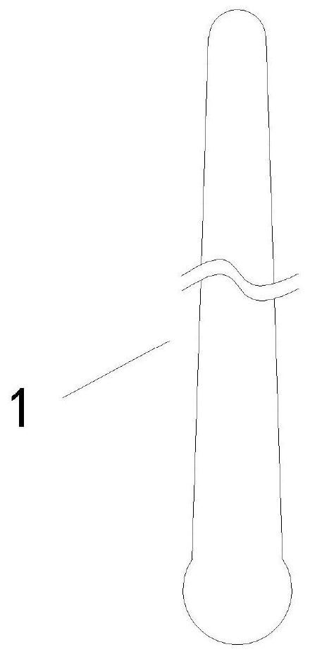 Method for constructing aortic dissection model by using biological material