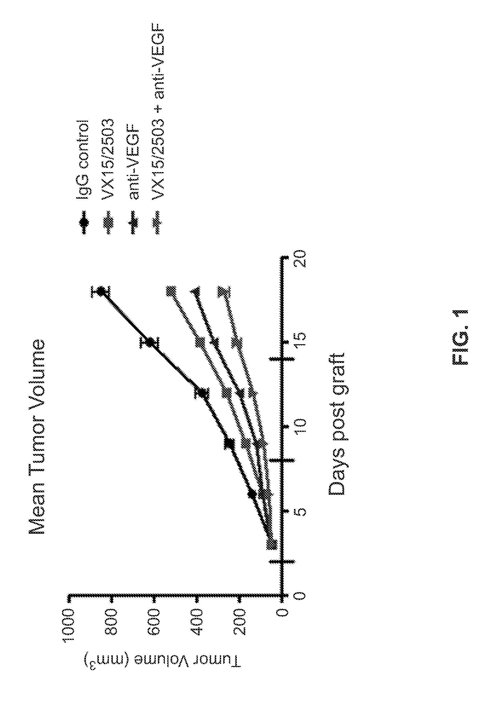 Use of the combination of semaphorin-4d inhibitory molecules and VEGF inhibitory molecules to inhibit angiogenesis