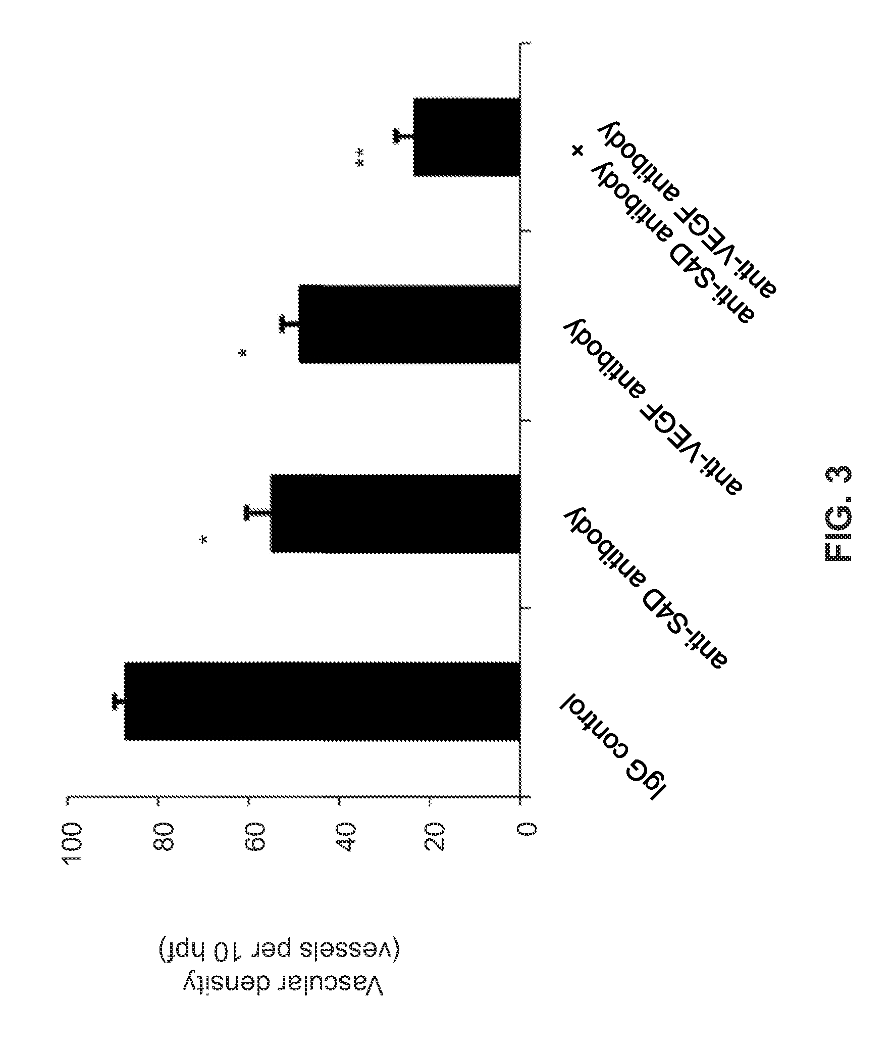 Use of the combination of semaphorin-4d inhibitory molecules and VEGF inhibitory molecules to inhibit angiogenesis