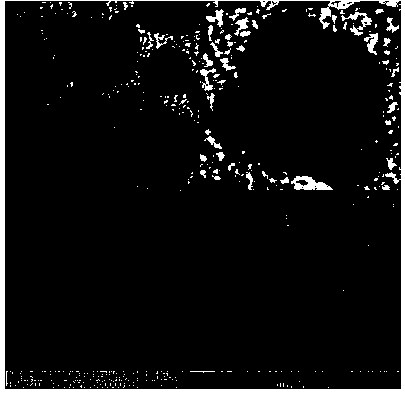 Ruthenium dioxide/carbon composite nano-material for super capacitor, and preparation method thereof