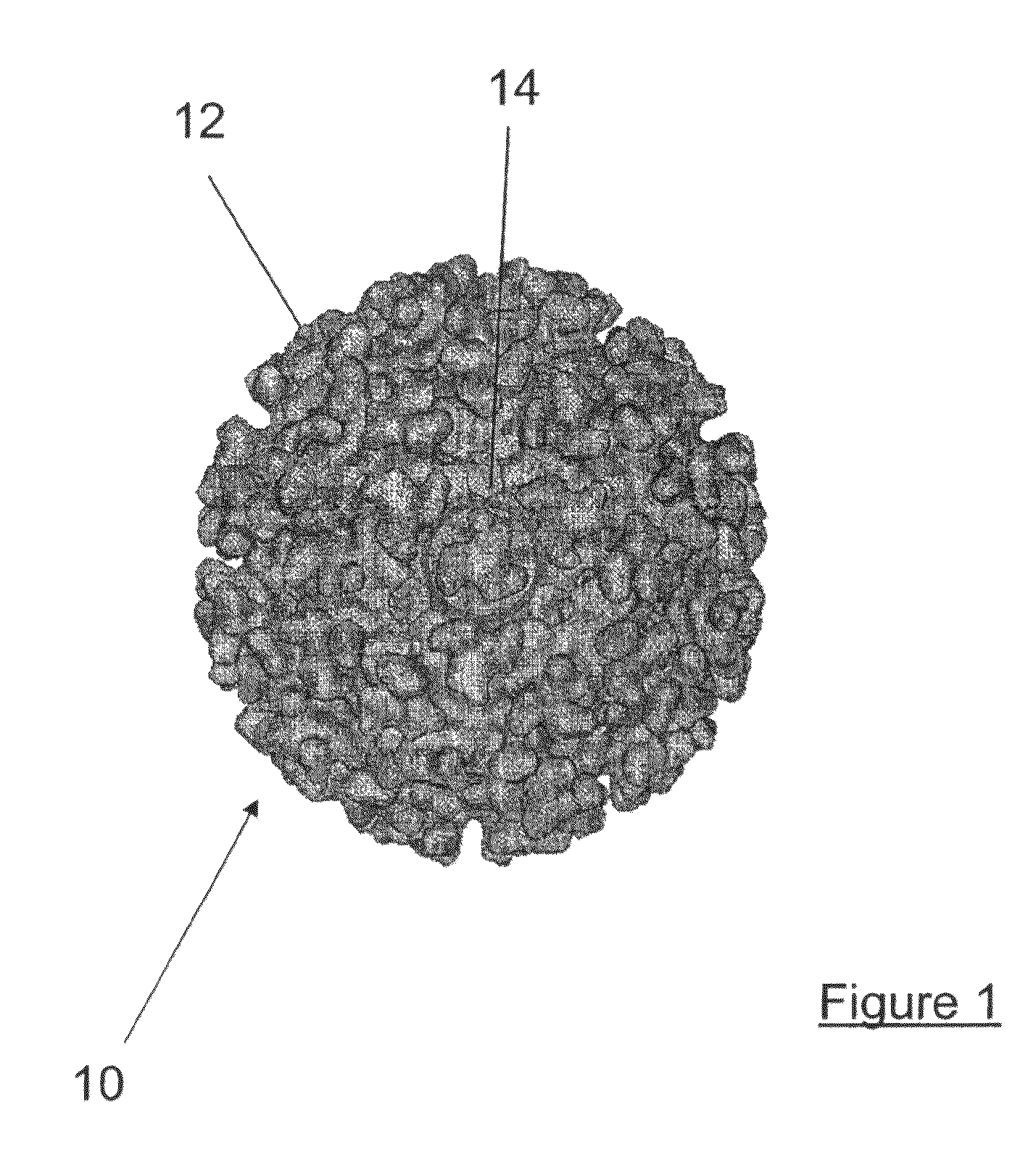 Humanized anti-Venezuelan equine encephalitis virus recombinant antibodies