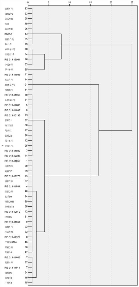 Method for evaluating rice seedling stage cold resistance based on principal component analysis