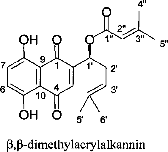 Beta,beta-dimethyl-acry-lalkannin and application in preparing medicines for inhibiting drug-resistant bacteria