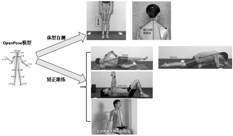 3D private fitness system based on OpenPose and working method thereof