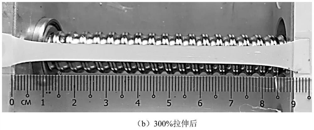 Breathable and stretchable nanofiber composite thin film material for friction nano generator and preparation method of breathable and stretchable nanofiber composite thin film material