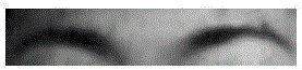 A Local Feature Representation Method Based on Facial Expression Image