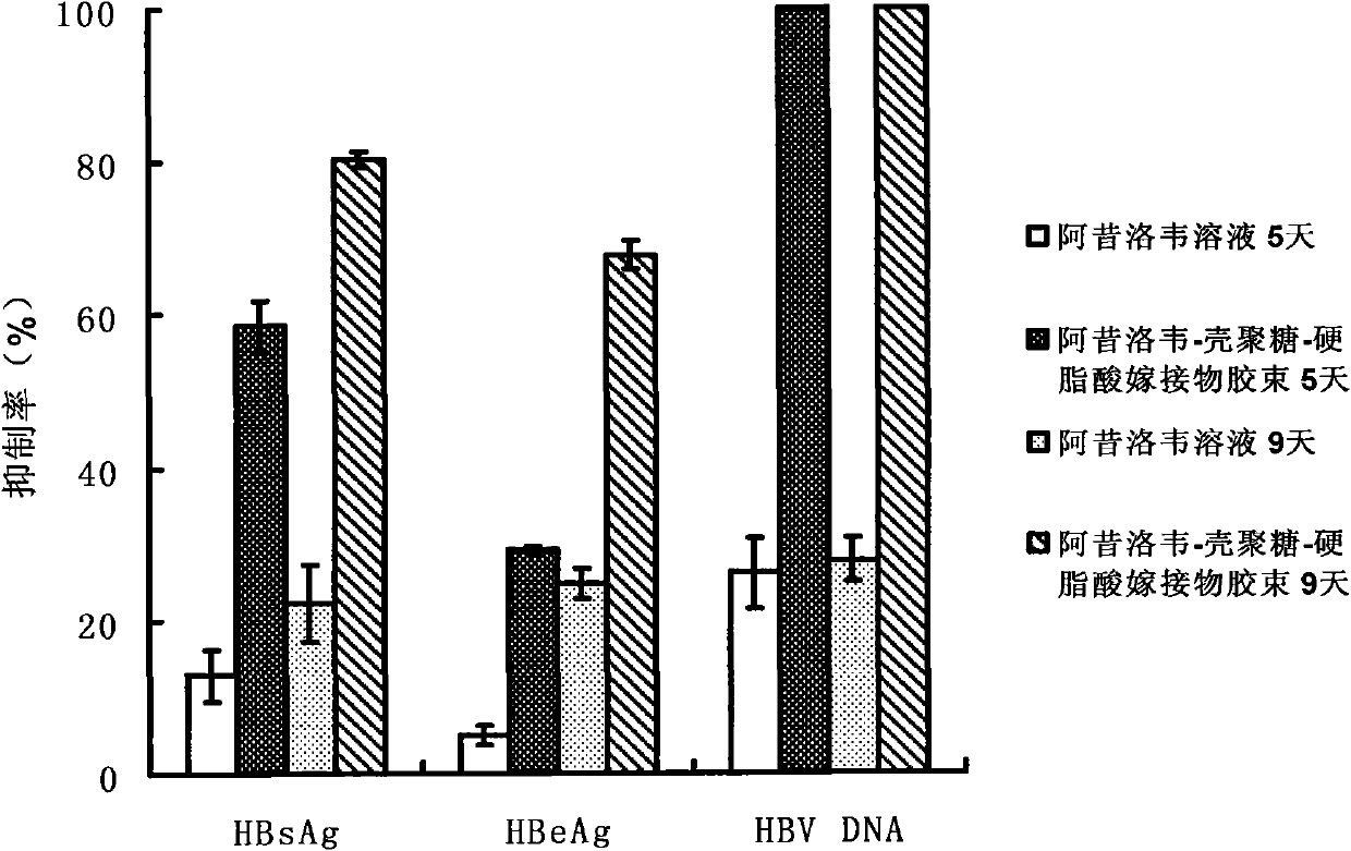 Acyclovir-chitosan-stearic acid grafting, synthetic method and application thereof