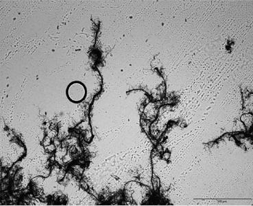 A kind of preparation method of aromatic polyamide fiber rubber premixed masterbatch