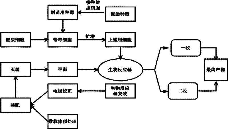 Suspension culture production method for porcine circovirus 2-type cells