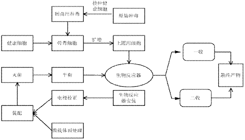 Suspension culture production method for porcine circovirus 2-type cells