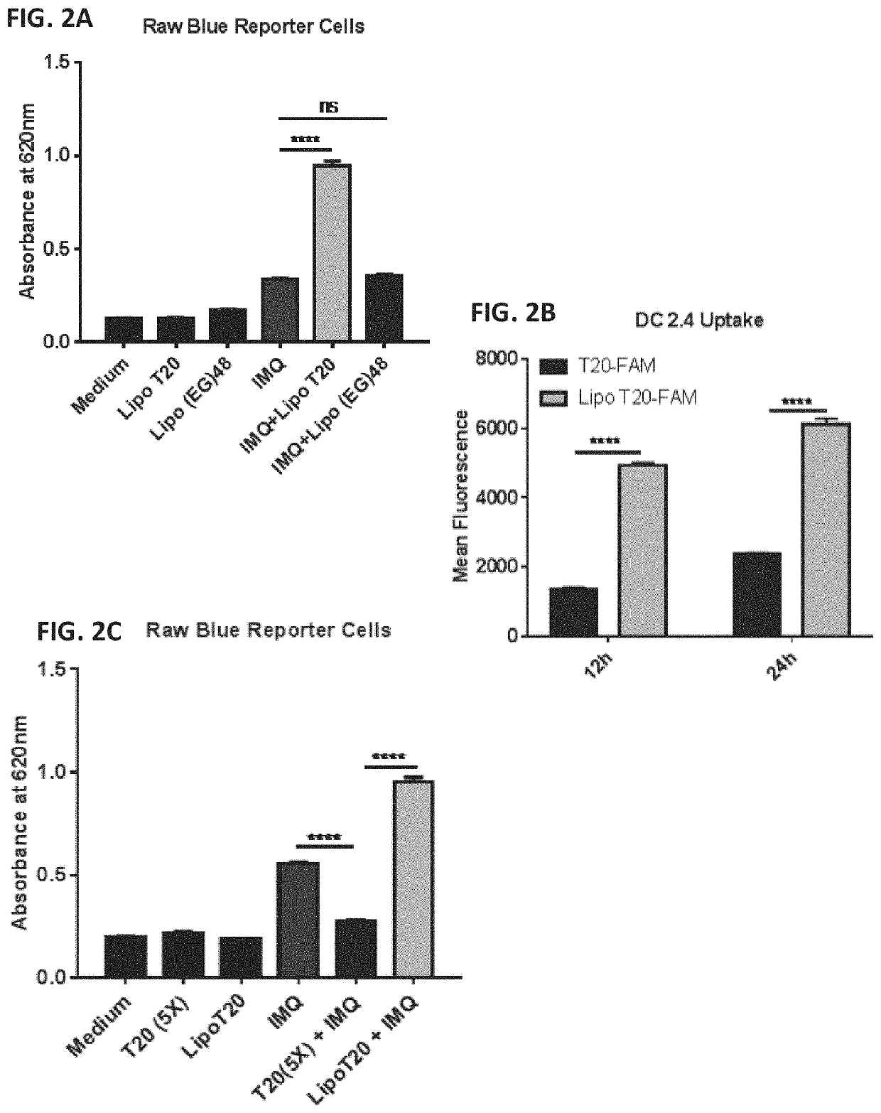 Amphiphilic oligodeoxynucleotide conjugates as adjuvant enhancers