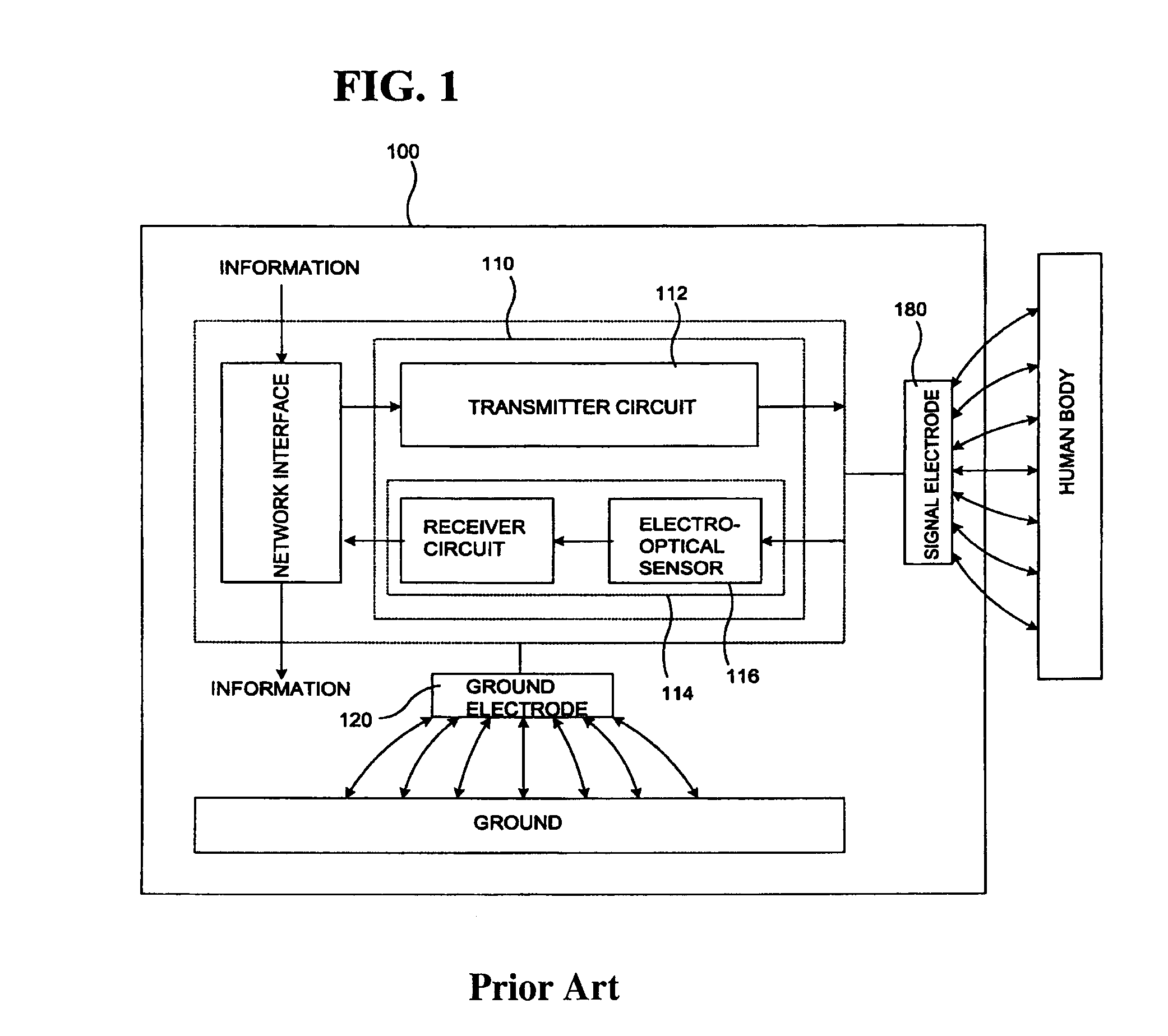 Data communication apparatus and module using human body