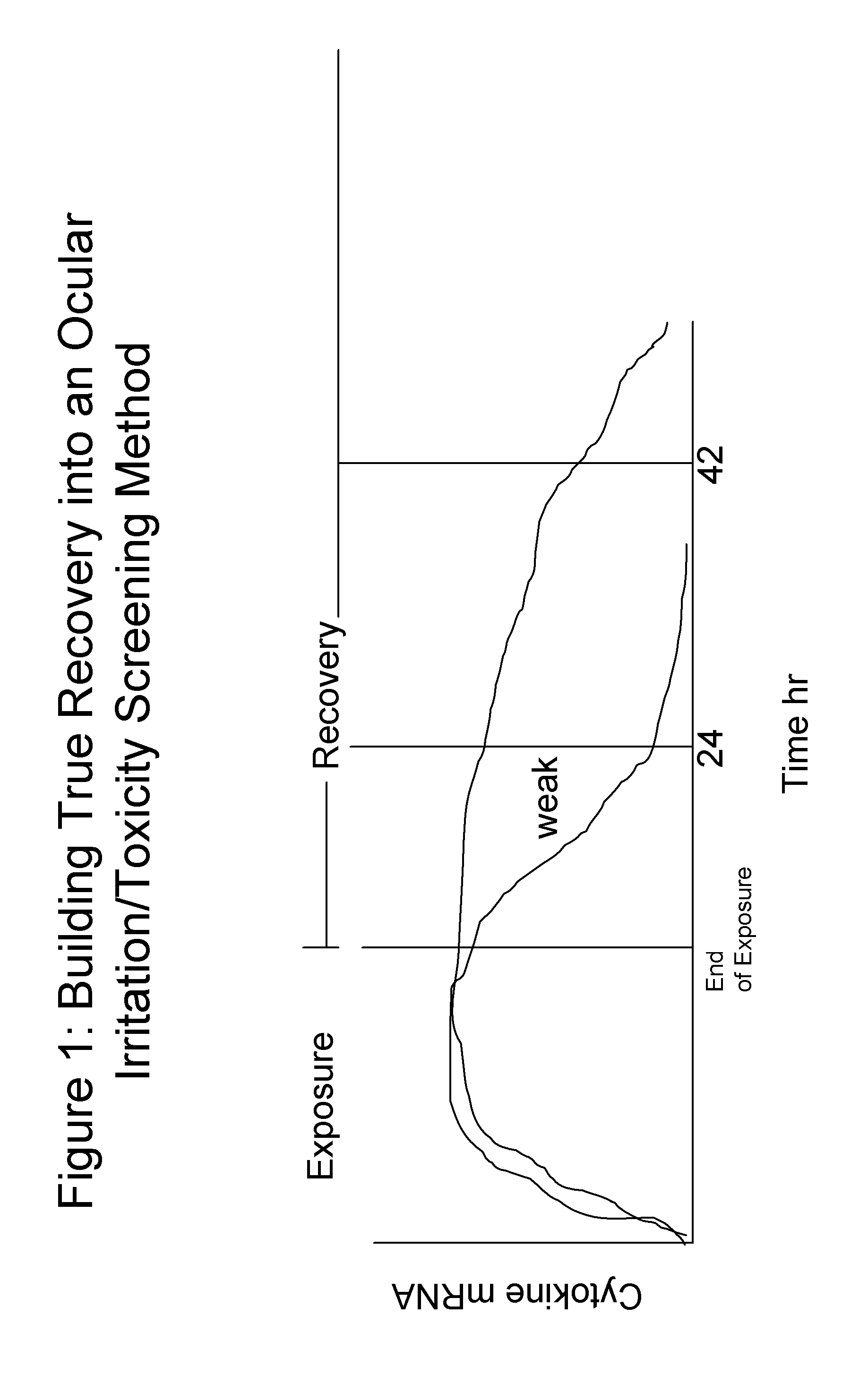 Screening methods for ocular irritation and toxicity