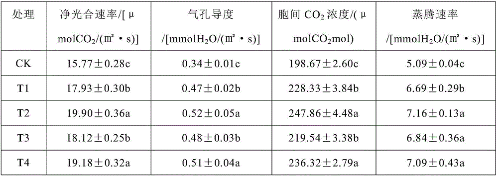 Organic fertilizer for drought resistance and water retention of plants as well as preparation method thereof