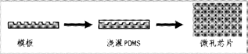 Cell microporous chip for detecting specific antibody secretion of single cell and preparation method thereof