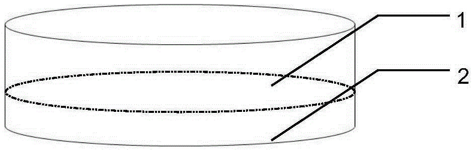 Fructus lycii-folium lycii double-layer double-color chewable tablet and preparation method thereof