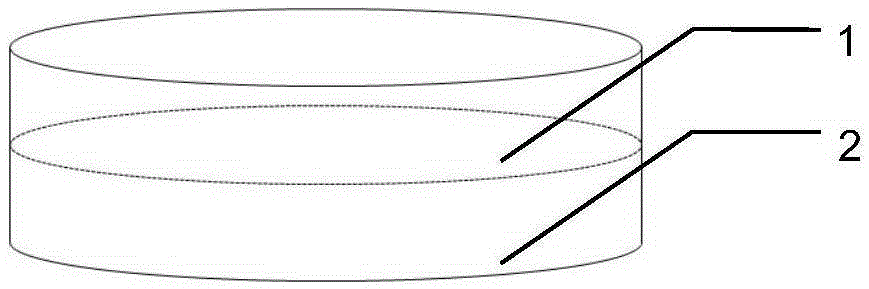 Fructus lycii-folium lycii double-layer double-color chewable tablet and preparation method thereof