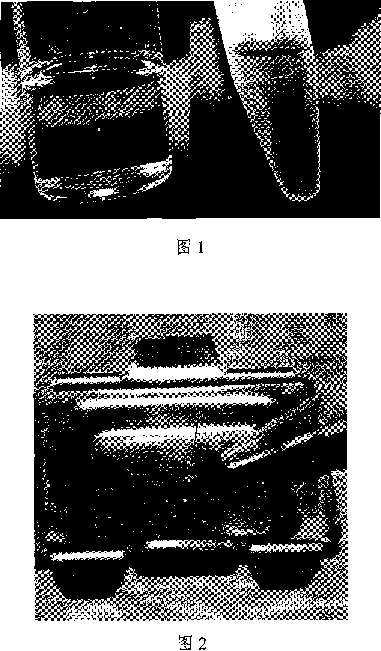 Method for preparing oocyte paraffin cut film