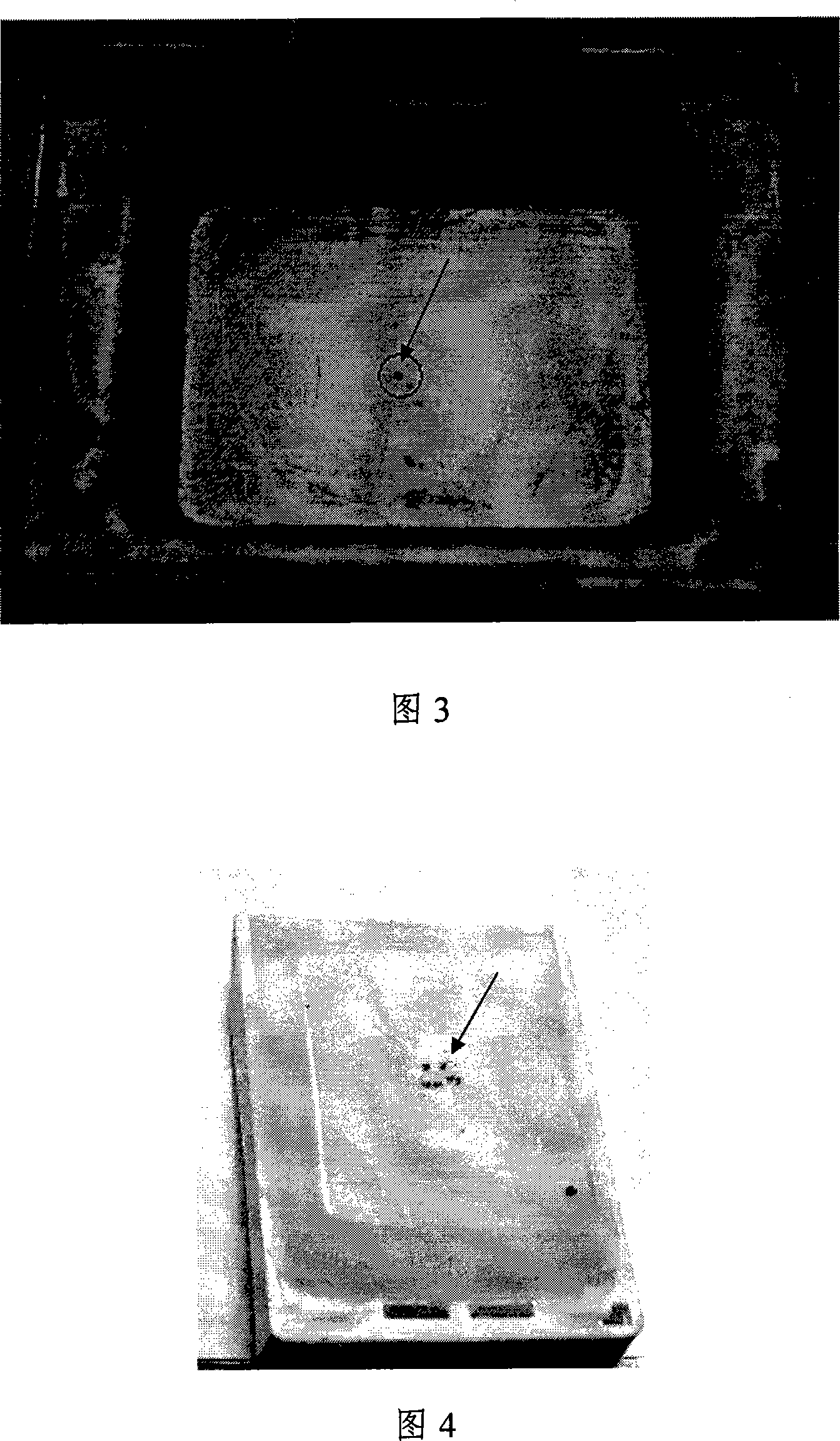 Method for preparing oocyte paraffin cut film