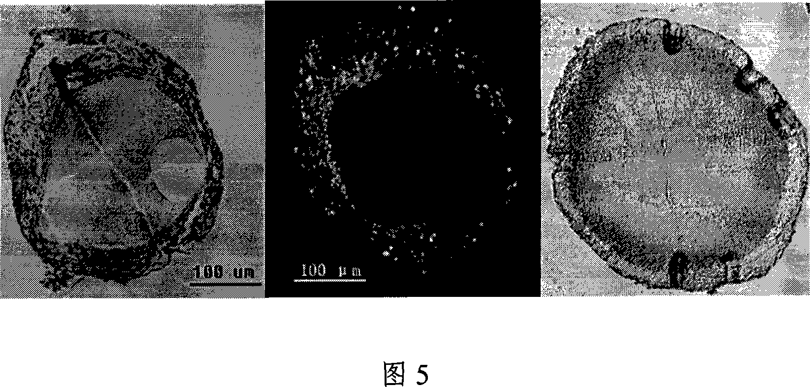 Method for preparing oocyte paraffin cut film