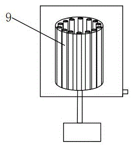 Acaudina molpadioides peel polishing and cleaning apparatus