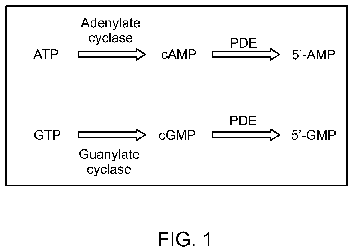 Methods of identification and use of nematicide compounds