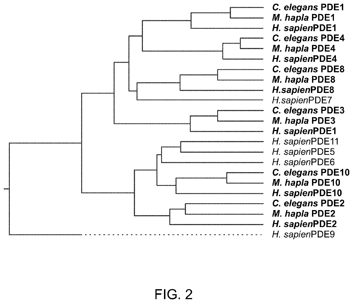 Methods of identification and use of nematicide compounds