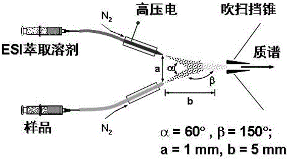 Rapid detection method of alkaloids in lotus seeds by electrospray extraction ionization mass spectrometry