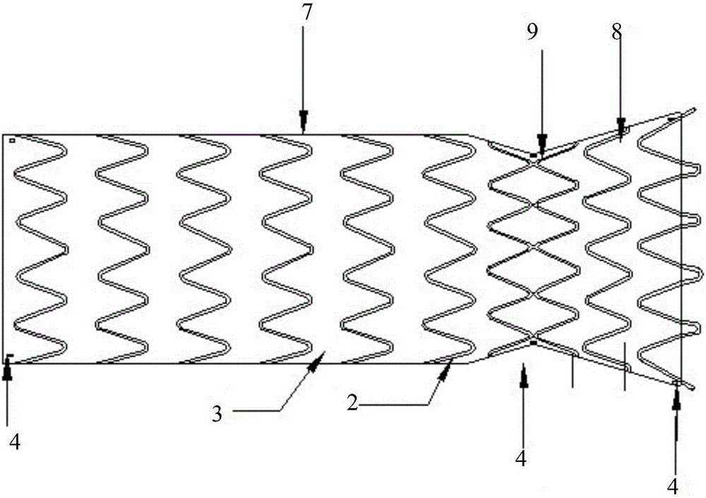 Covered stent and using method thereof