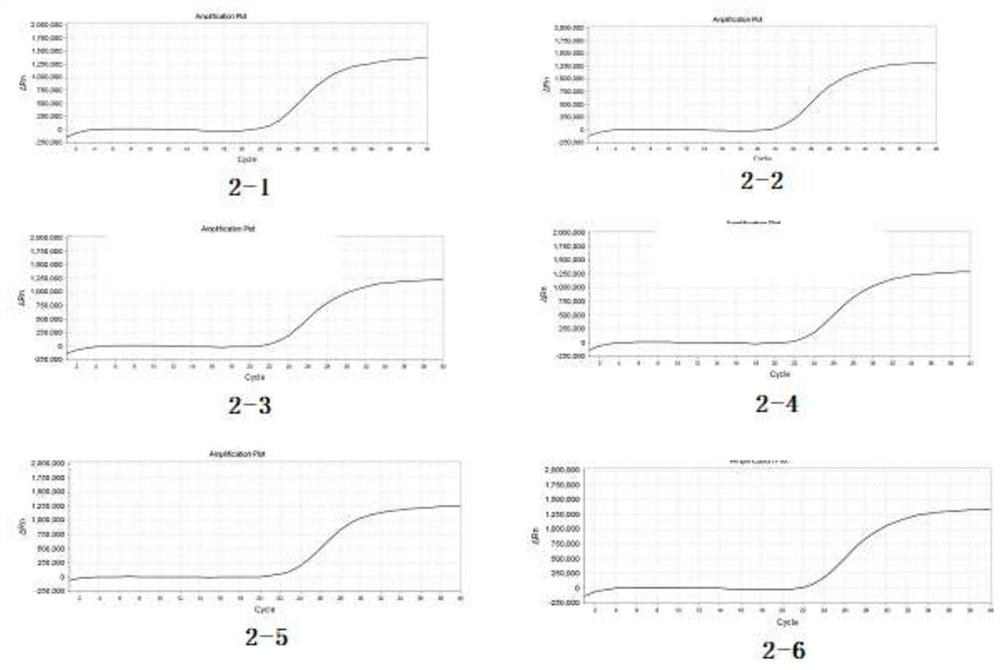 Quality control product for novel coronavirus detection kit and preparation method thereof