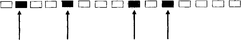 Arbitrary sampling method and apparatus