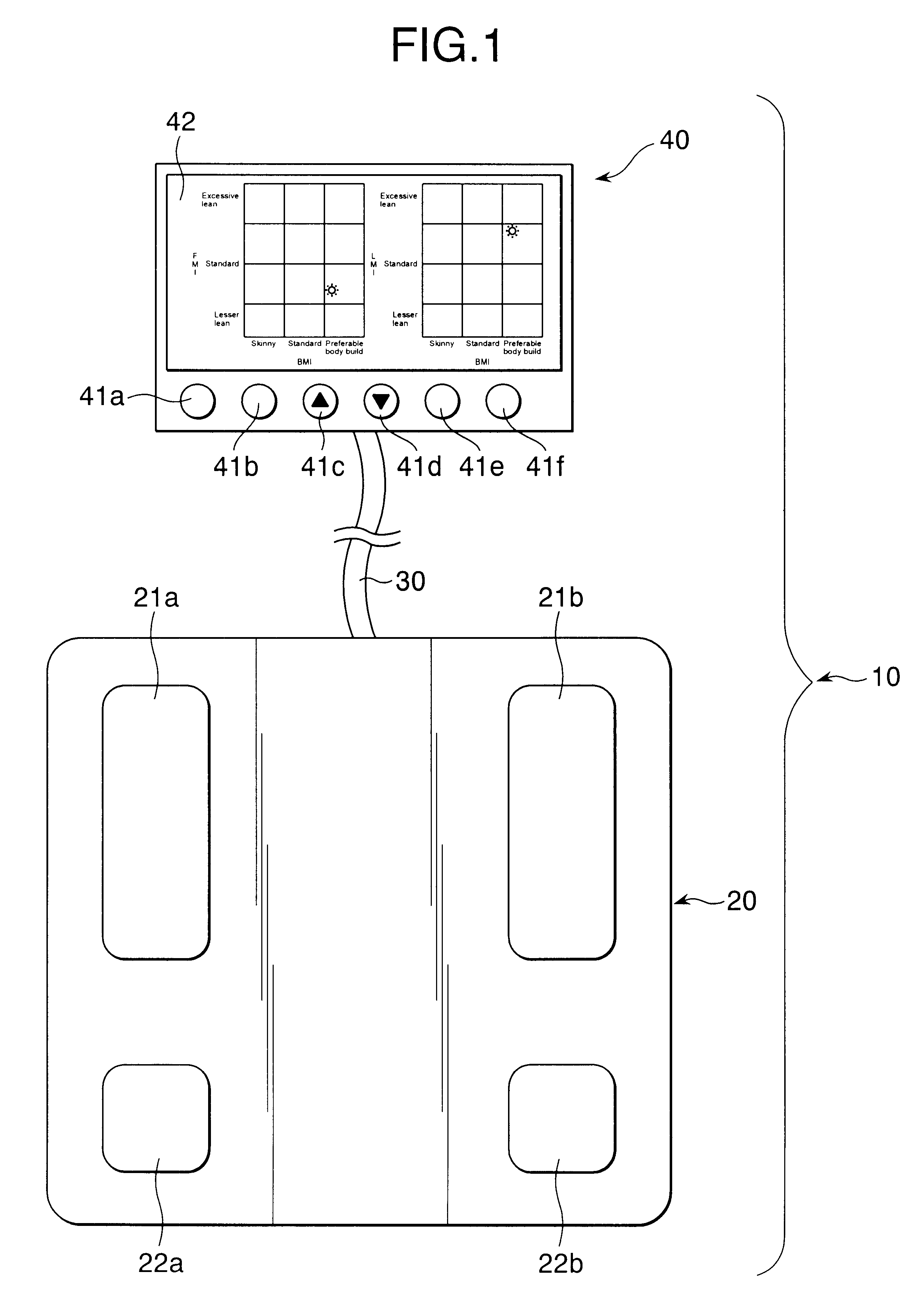 Body type determination apparatus