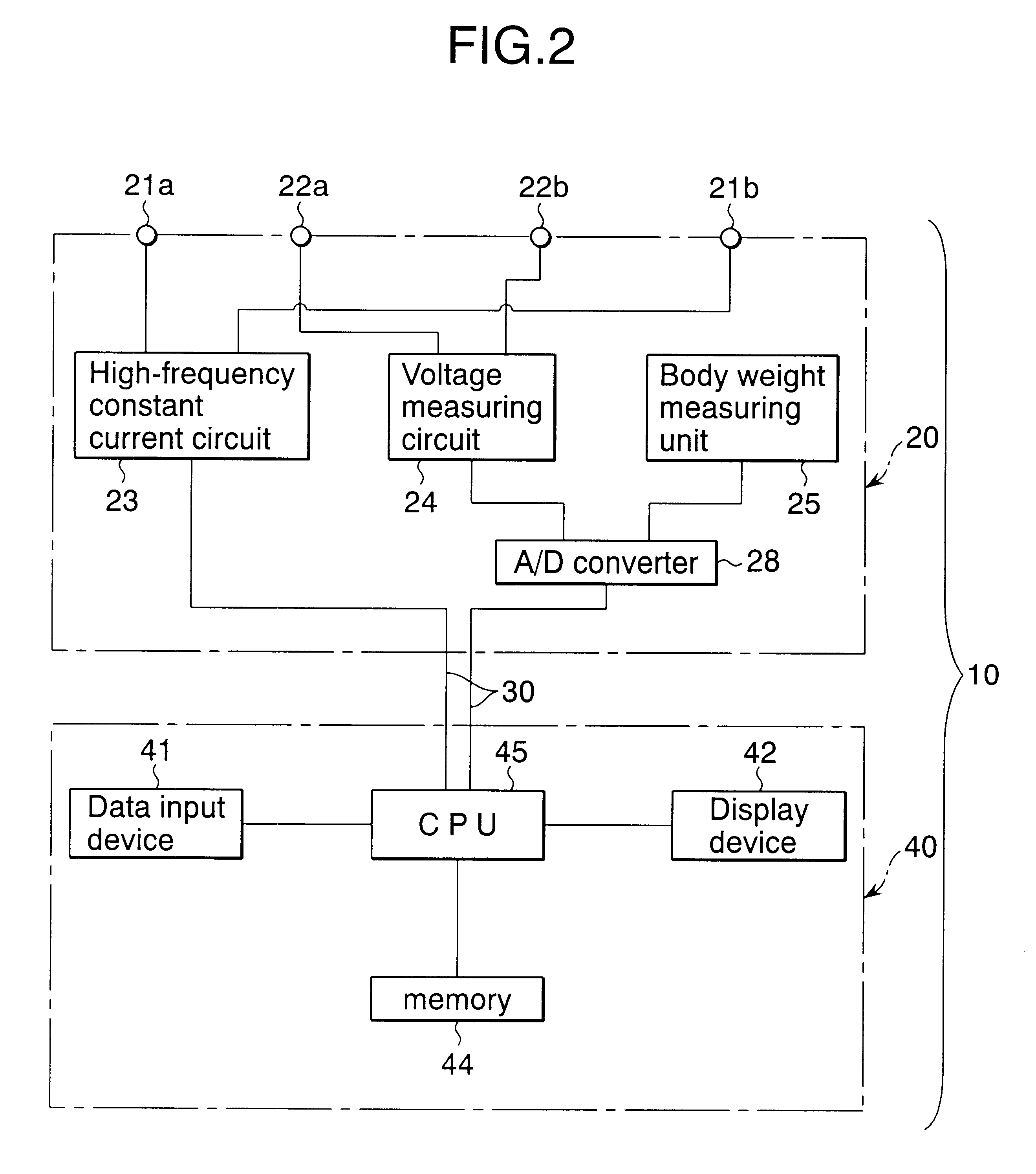 Body type determination apparatus