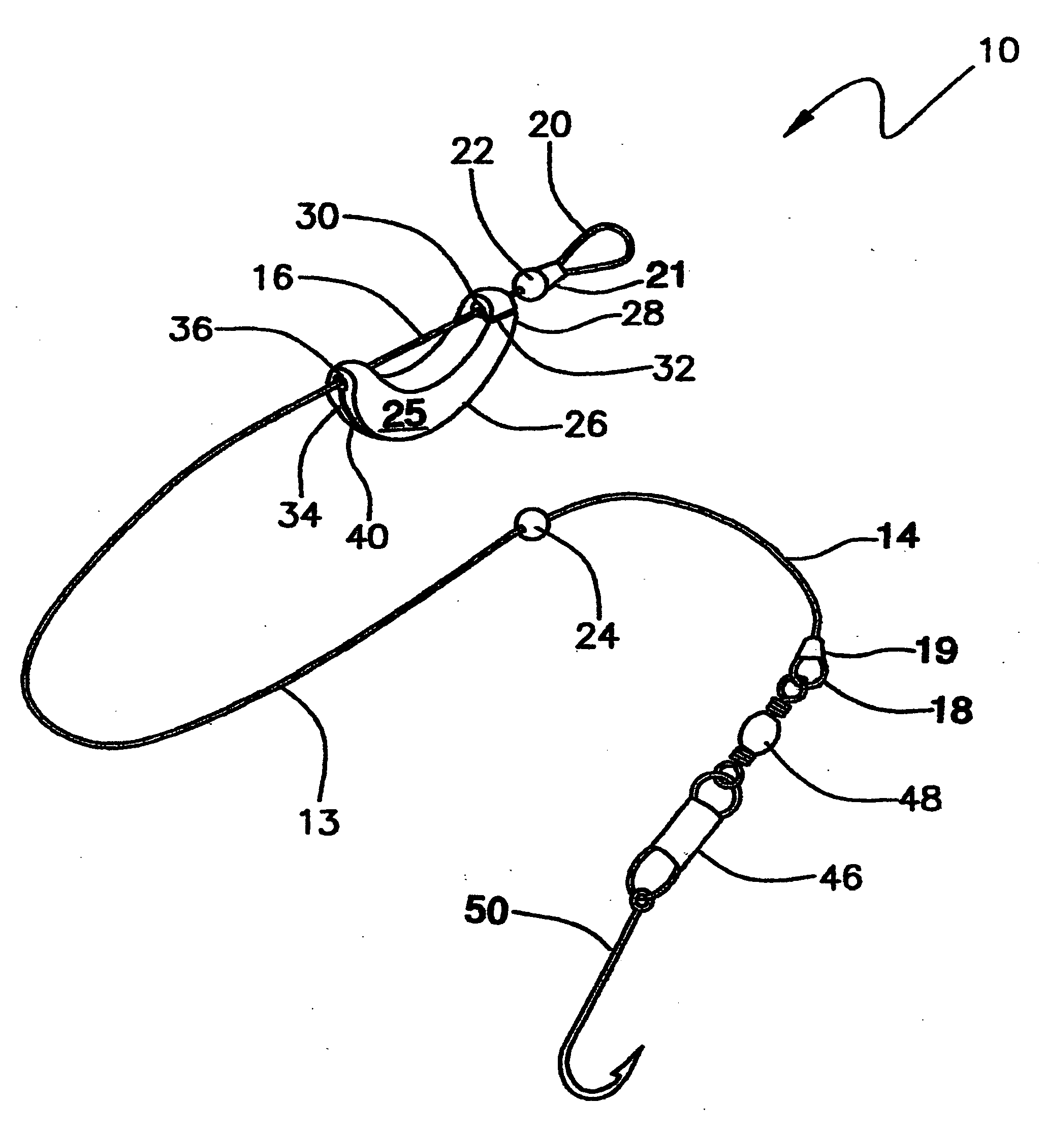 Bottom fish rigs with fish hooks