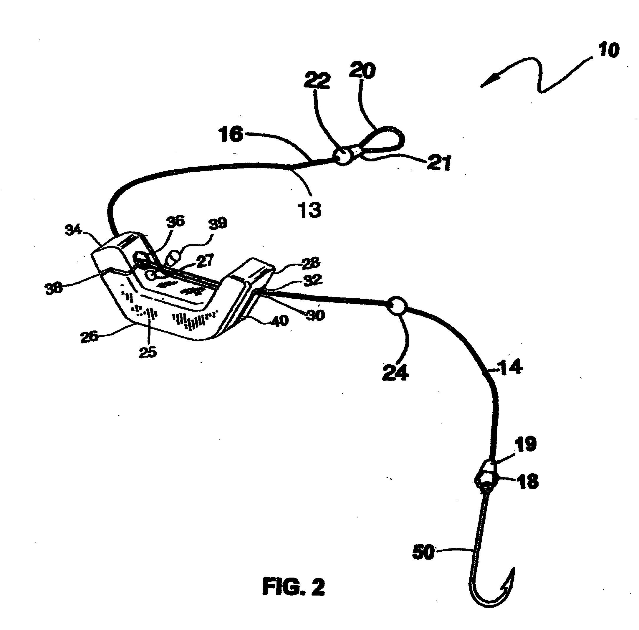 Bottom fish rigs with fish hooks